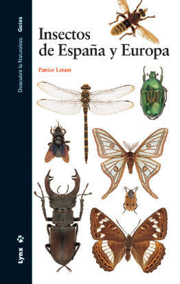 Insectos De España Y Europa