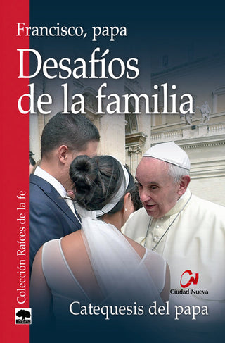 Desafíos De La Familia