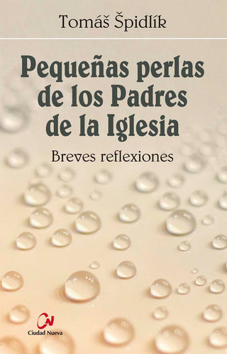 Pequeñas Perlas De Los Padres De La Iglesia
