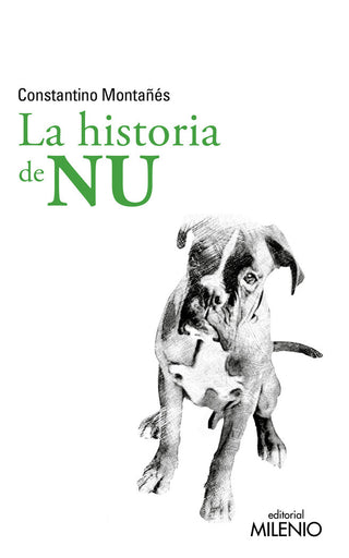 La Hsitoria De Nu