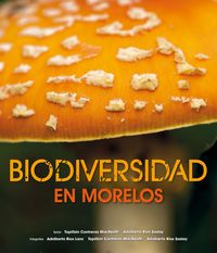 Biodiversidad En Morelos