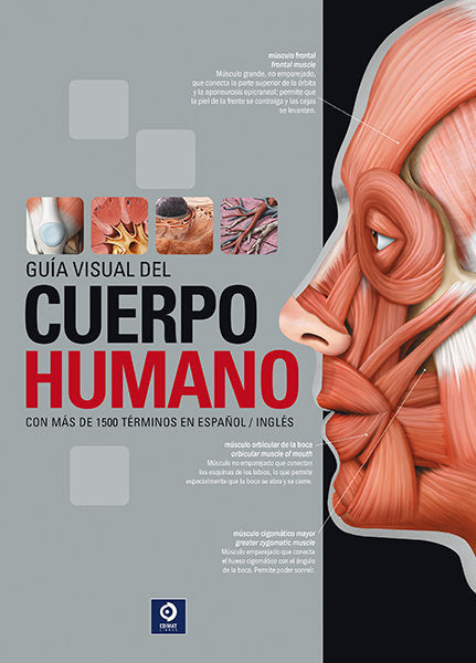 Guia Visual Del Cuerpo Humano