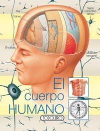 El Cuerpo Humano