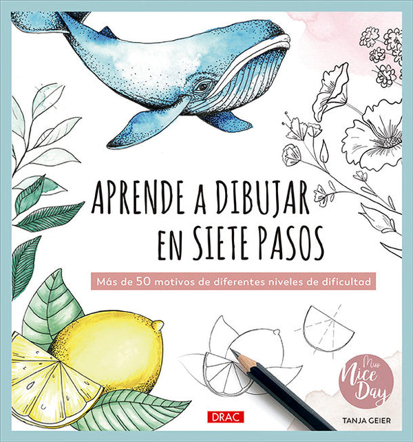 Aprende A Dibujar En 7 Pasos