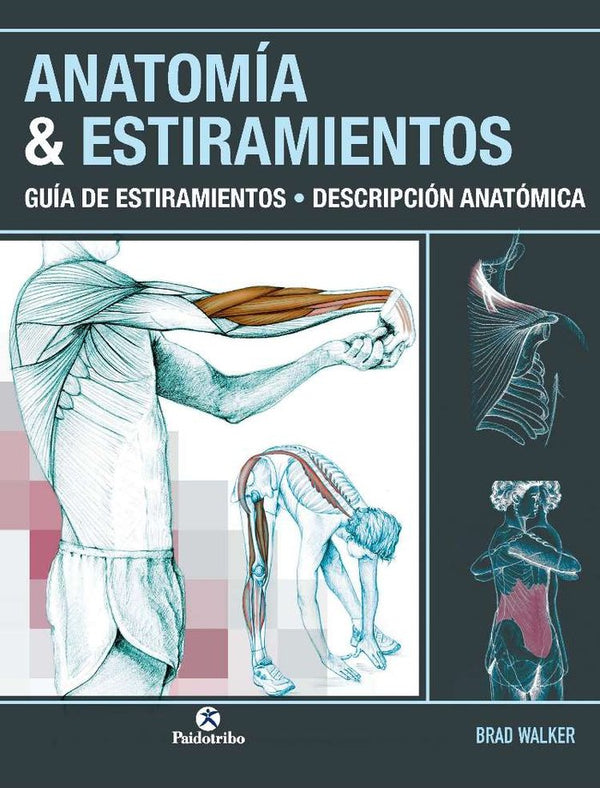 Anatomía & Estiramientos. Guía De Estiramientos. Descripción Anatómica (Color)