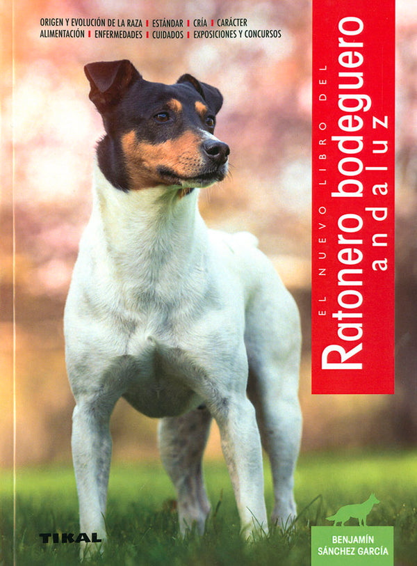 Ratonero Bodeguero Andaluz