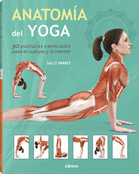 Anatomía Del Yoga
