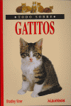 Todo Sobre Gatitos