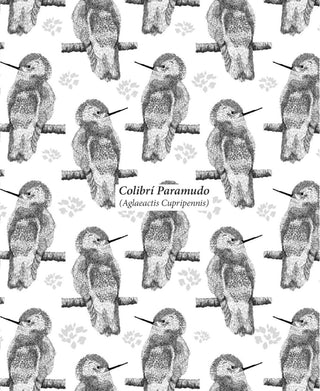 Bitácora Colibrí - Escritorio