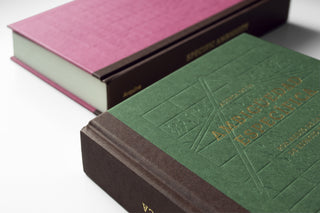 Acerca de la Ambigüedad Específica por medio de la idea de espacio tropical o la práctica razonada de las formas de la transición