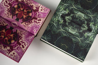 Acerca de la Ambigüedad Específica por medio de la idea de espacio tropical o la práctica razonada de las formas de la transición