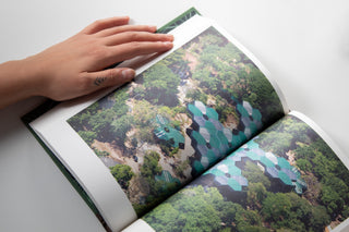 Acerca de la Ambigüedad Específica por medio de la idea de espacio tropical o la práctica razonada de las formas de la transición