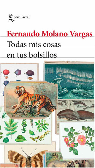 Todas mis cosas en tus bolsillos