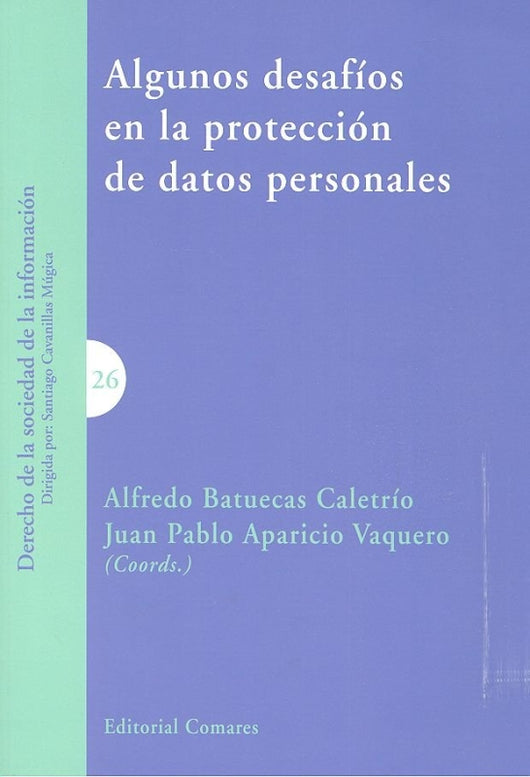 Algunos Desafíos En La Protección De Datos Personales Libro