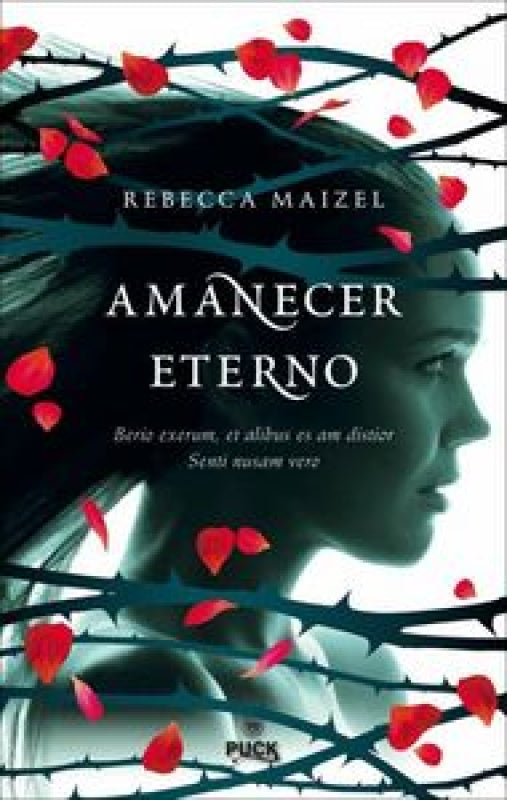 Amanecer Eterno Libro