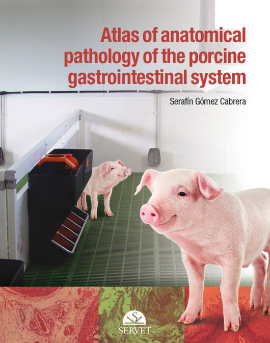 Atlas Of Anatomical Pathology The Gastrointestinal System Swine Libro