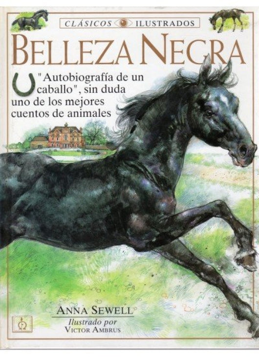 Belleza Negra Libro