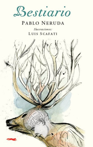 Bestiario Libro