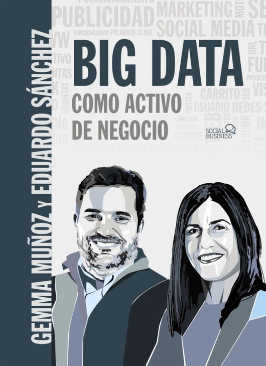 Big Data Como Activo De Negocio Libro