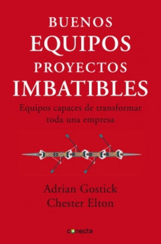 Buenos Equipos Proyectos Imbatibles Libro