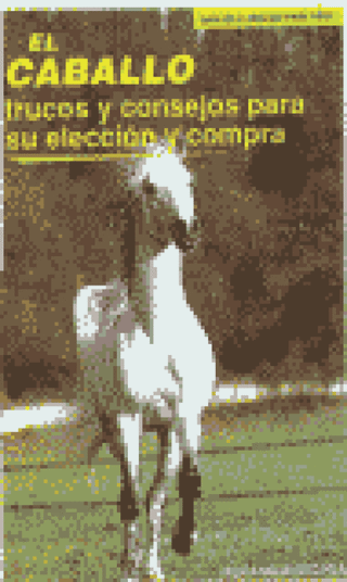 Caballo Trucos Y Consejos Para Su Eleccion Compra Libro
