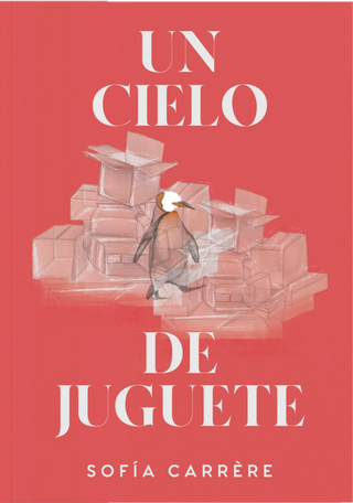 Un Cielo De Juguete