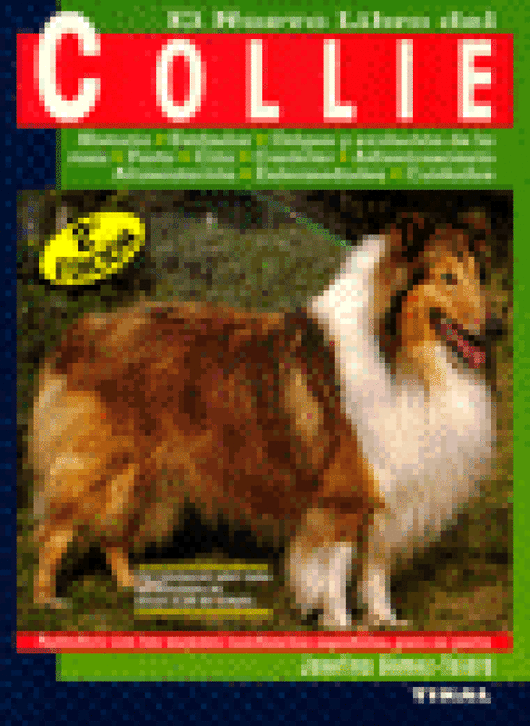 Collie Libro