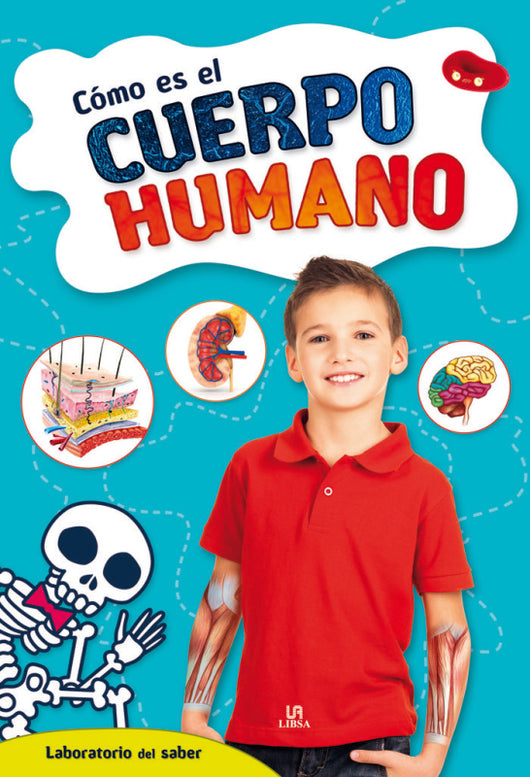 Cómo Es El Cuerpo Humano Libro