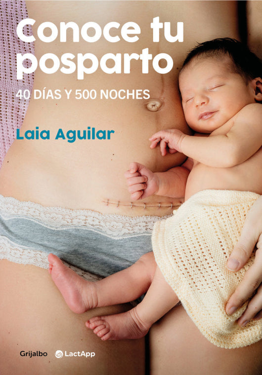 Conoce Tu Posparto. 40 Dias Y 500 Noches Libro