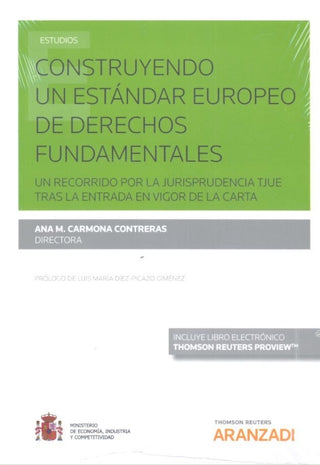 Construyendo Un Estándar Europeo De Derechos Fundamentales (Papel + E-Book) Libro