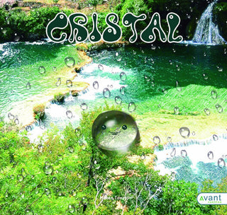 Cristal Libro