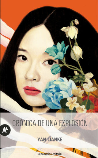 Crónica De Una Explosión Libro