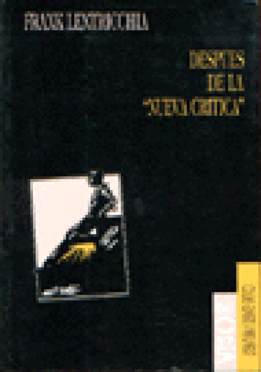 Despues De La Nueva Critica Libro