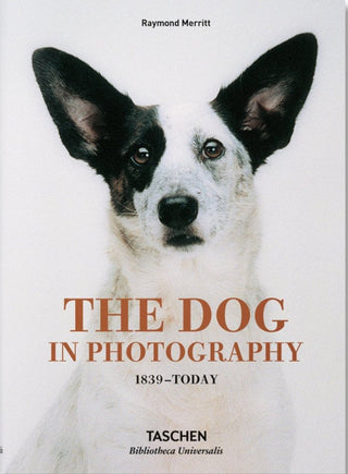Dog In Photography 1839 Today (Al/fr/in) Libro