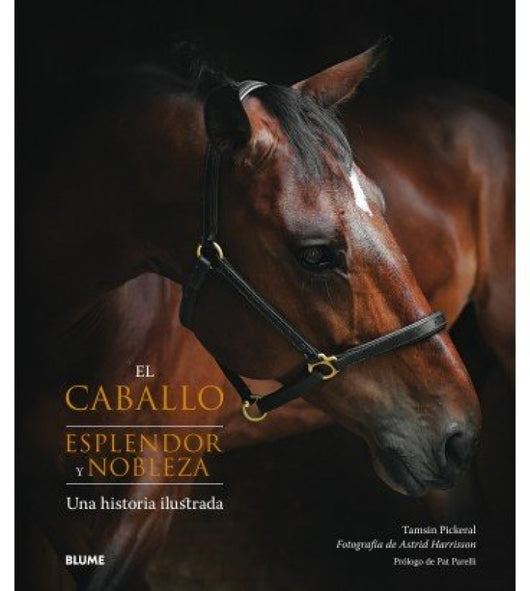 El Caballo. Esplendor Y Nobleza Libro