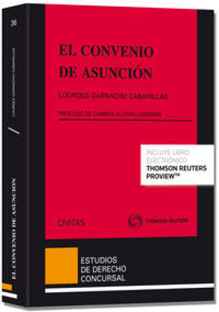 El Convenio De Asunción (Papel + E-Book) Libro