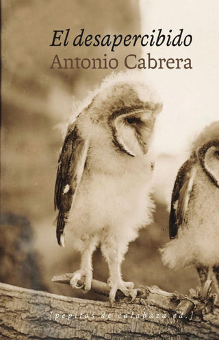El Desapercibido Libro