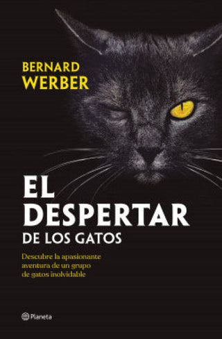 El Despertar De Los Gatos Libro