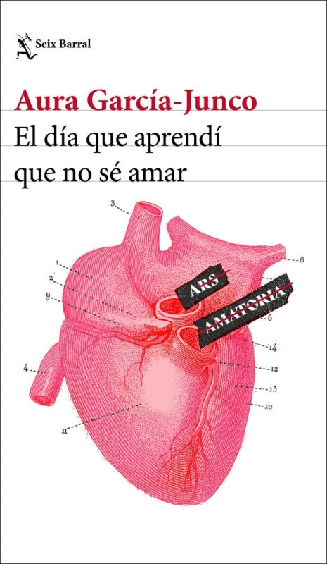 El Dia Que Aprendi No Se Amar Libro