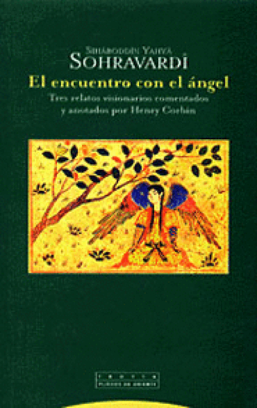 El Encuentro Con El Ángel Libro