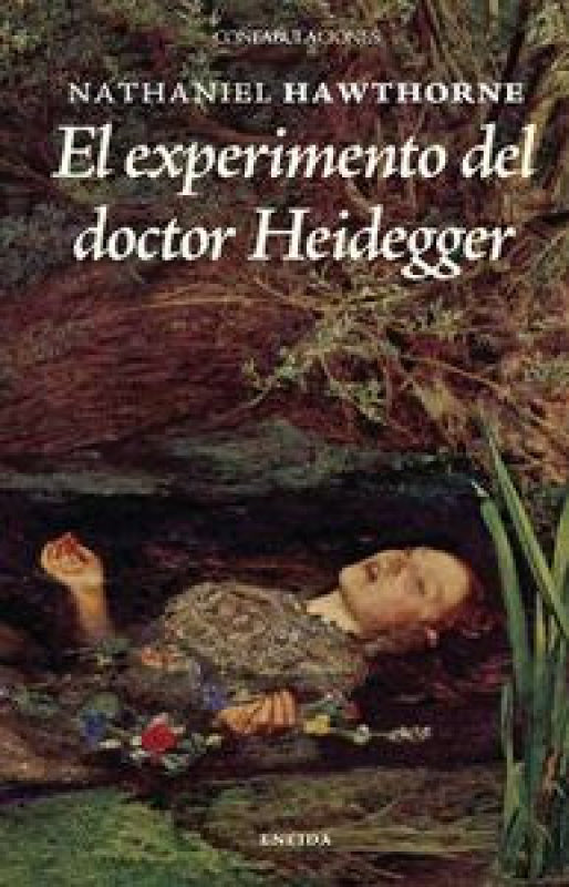 El Experimento Del Dr. Heidegger Libro