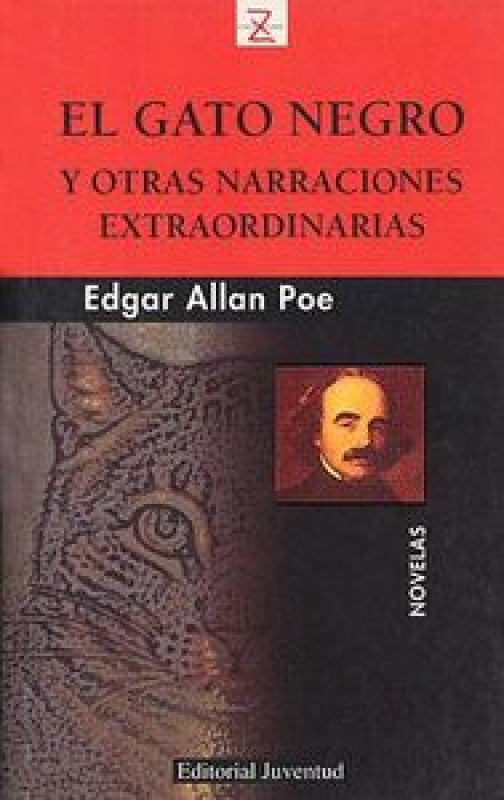 El Gato Negro Y Otras Narradciones Extraordinarias Libro