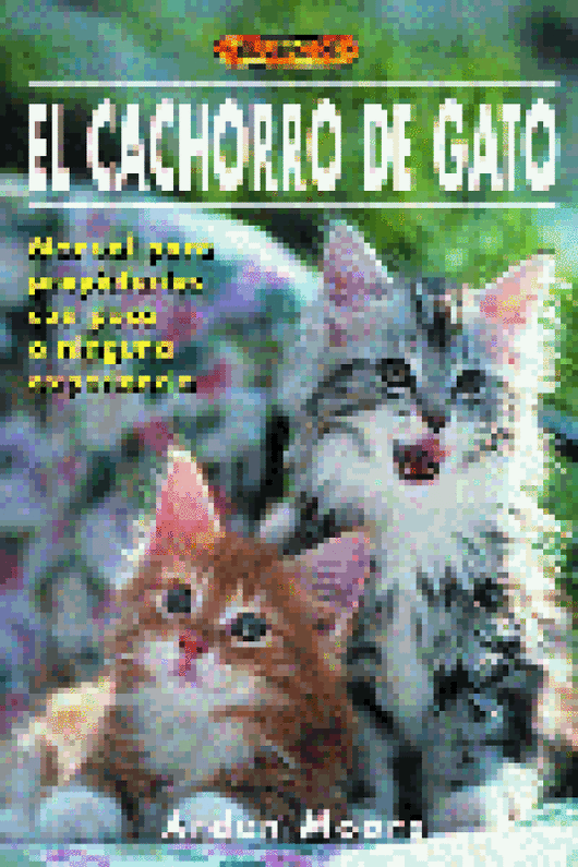 El Libro De El Cachorro De Gato Libro