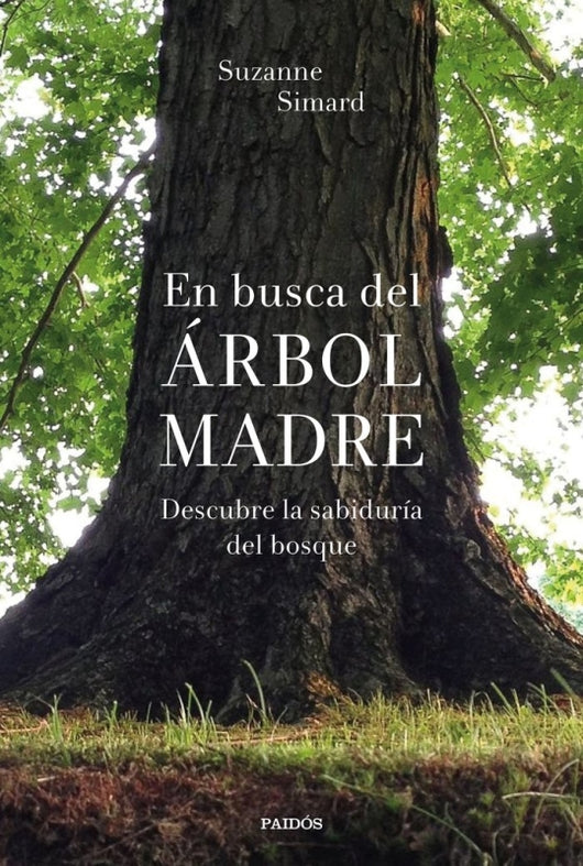 En Busca Del Arbol Madre Libro