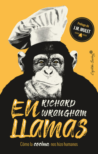 En Llamas Libro