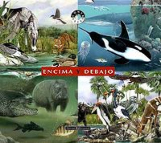 Encima Y Debajo Libro