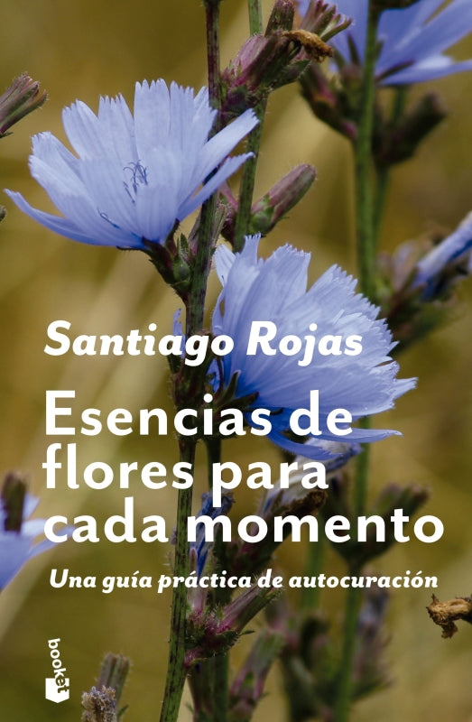 Esencias De Flores Para Cada Momento Libro