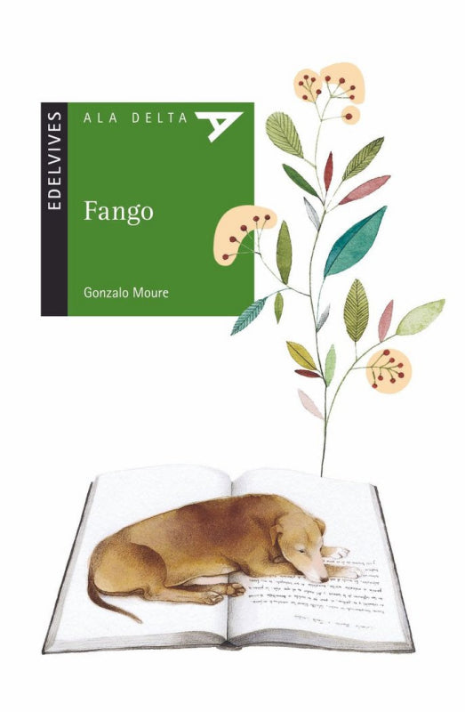 Fango Libro