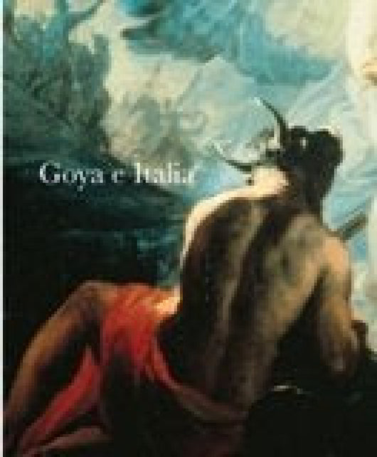 Goya E Italia Libro