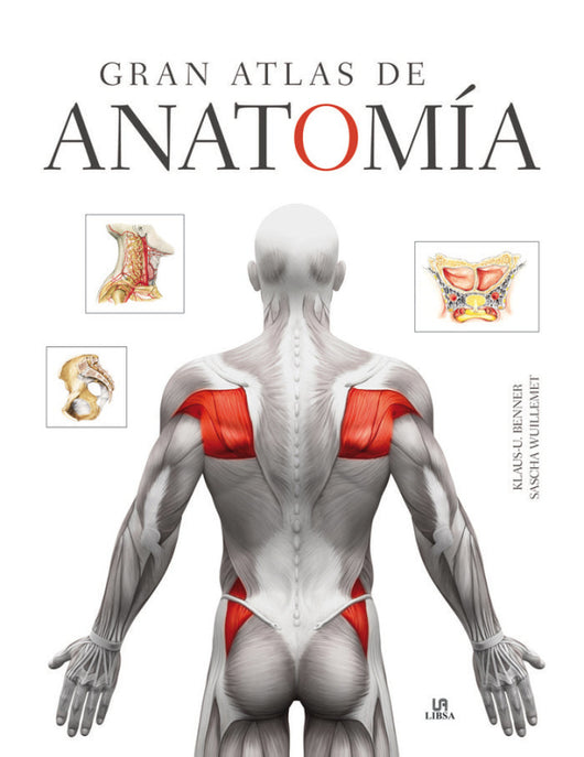 Gran Atlas De Anatomía Libro